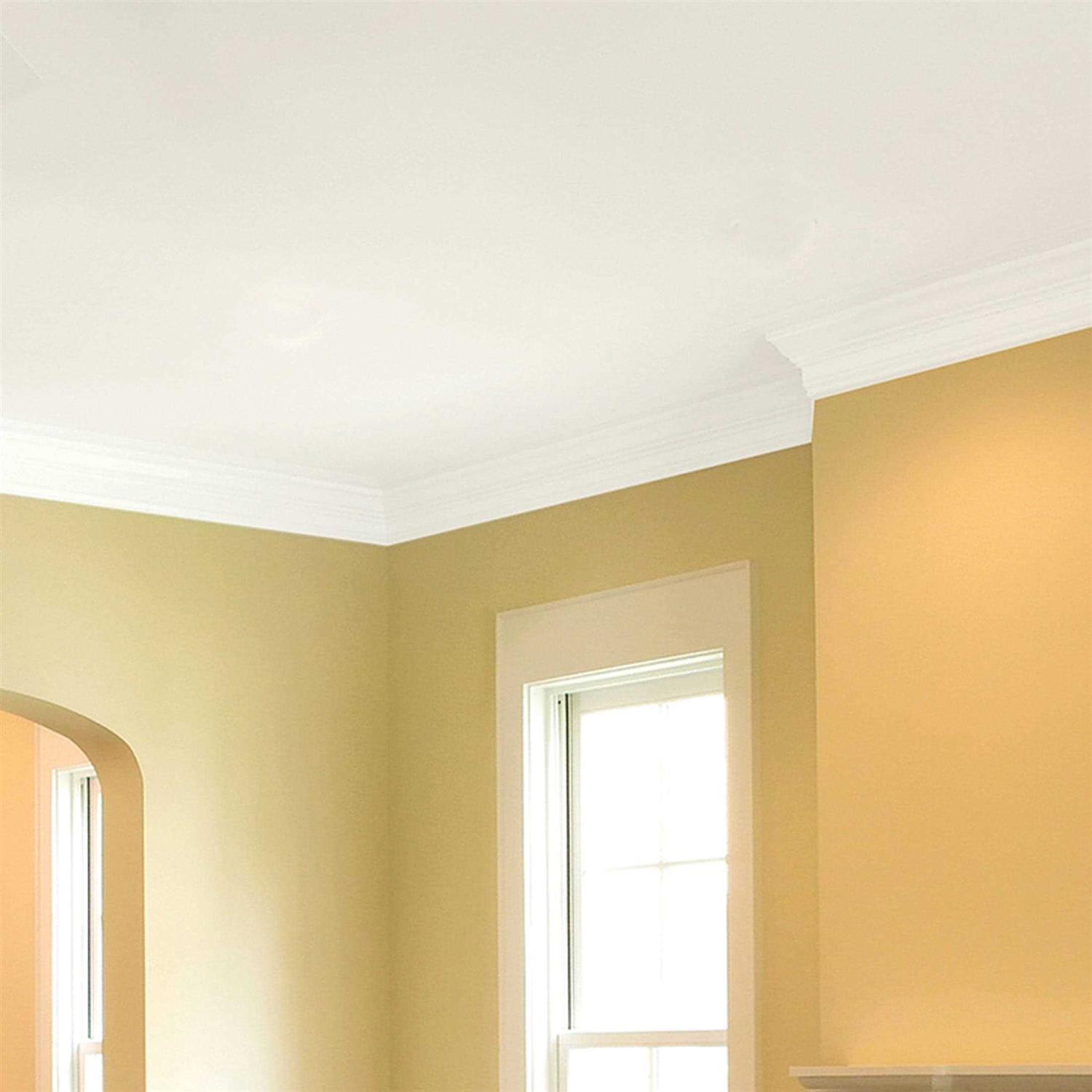 Zinsser Bright White Ceiling Paint and Primer in One 13 oz - Cheap Fitting