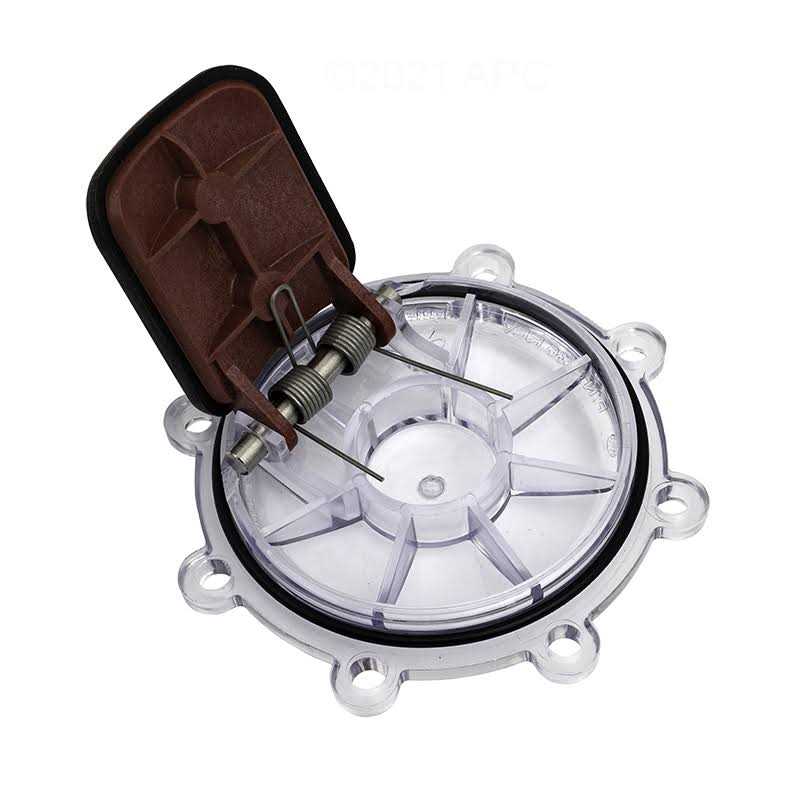 Jandy Check Valve Cover & Flapper Assembly 7056 - Cheap Fitting