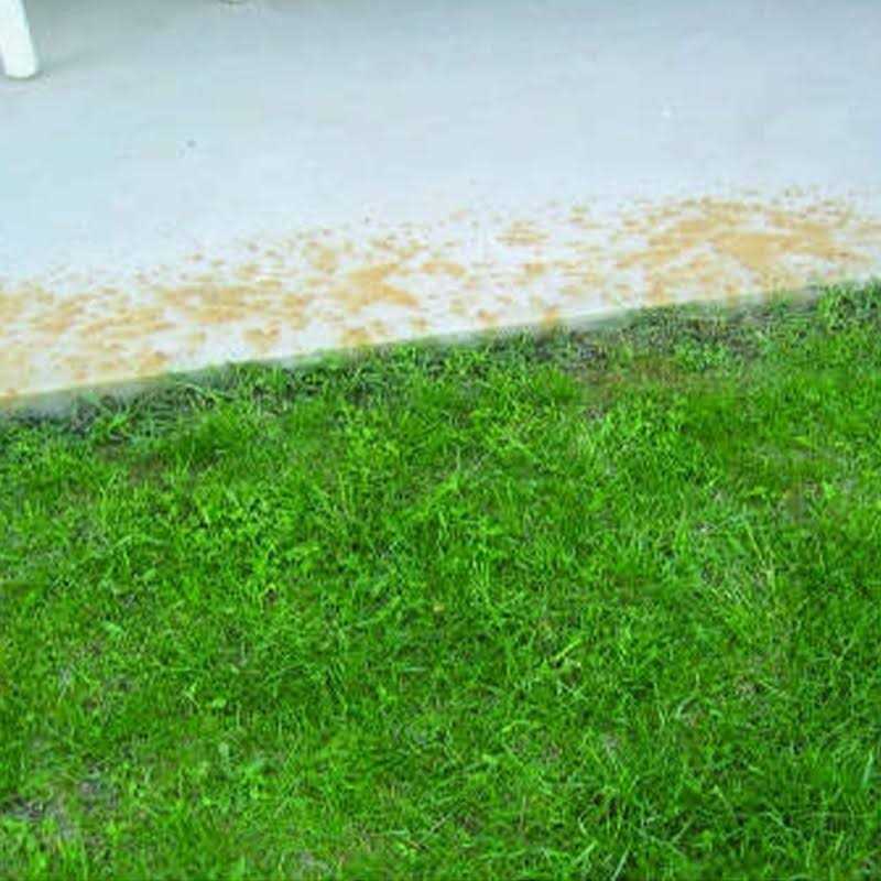 Singerman Laboratories Rust Remover For Concrete - Cheap Fitting