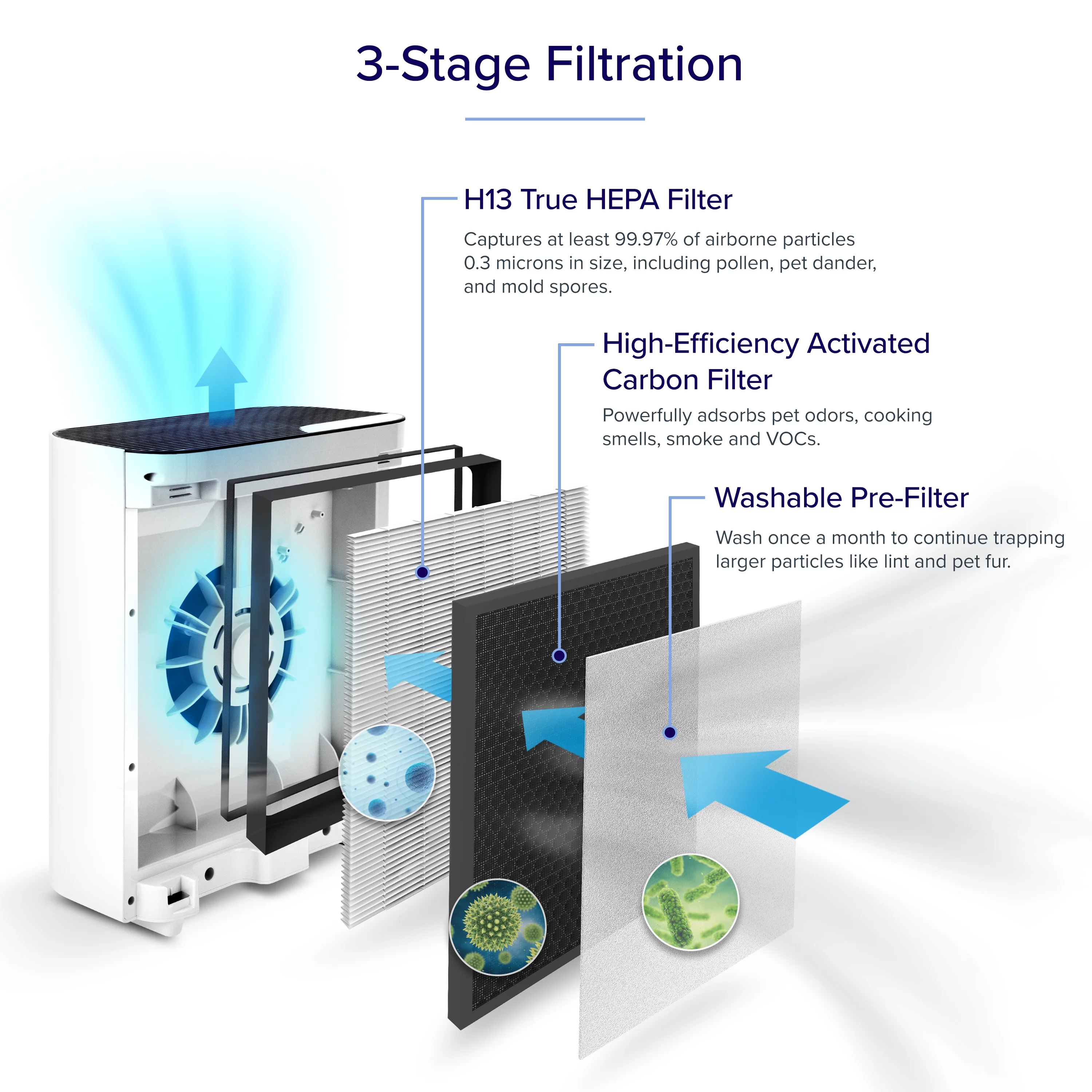 Levoit Air Purifier Vital 100 Plus, Compact True HEPA for Allergies and Asthma, with Washable Filter, (Exclusive Bonus Filter) - Cheap Fitting