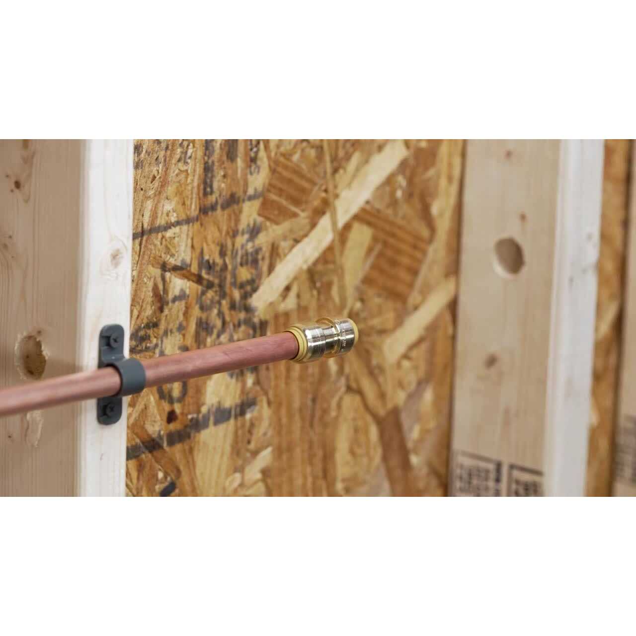 Quick Fitting Mnpt Probite Adapter - Cheap Fitting