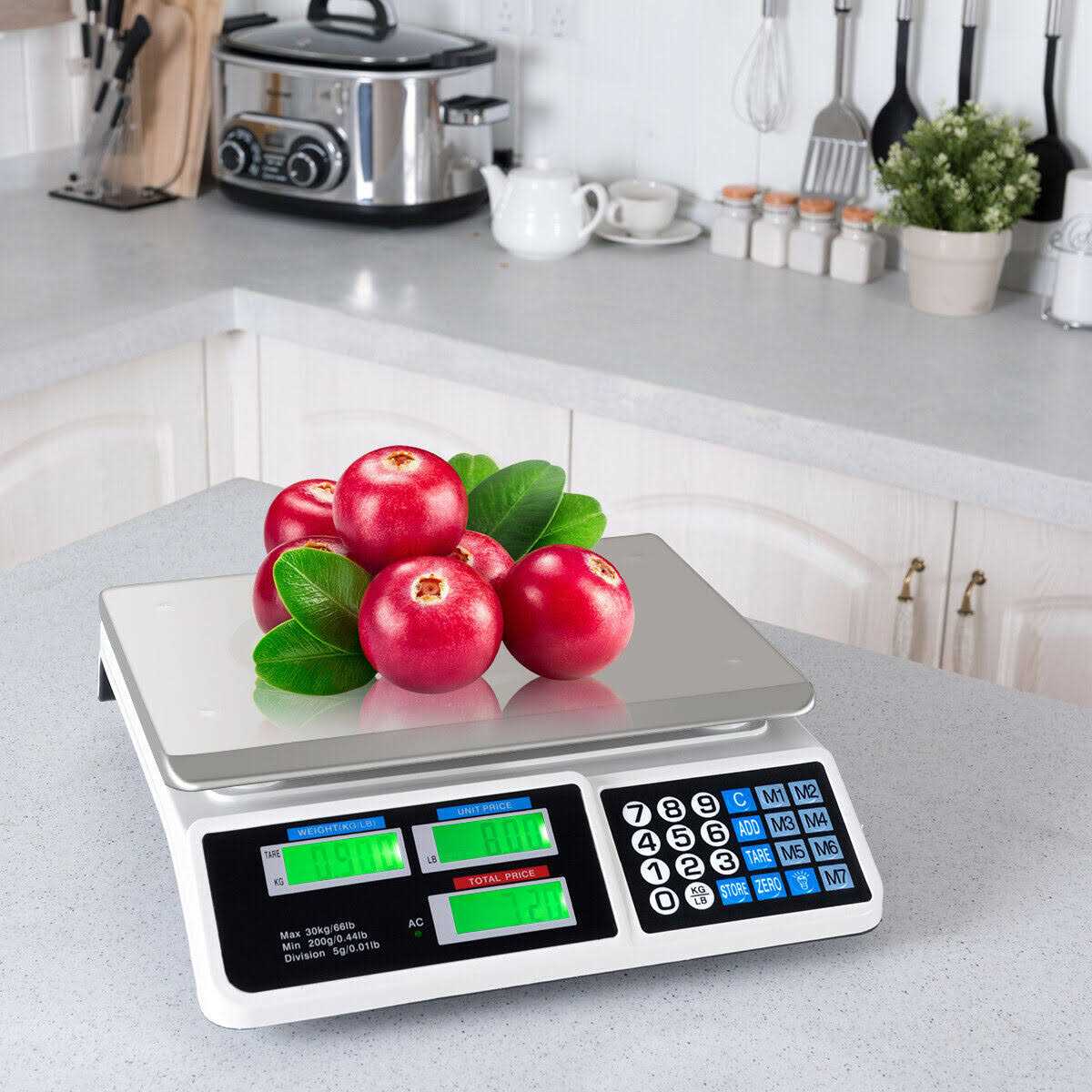 66lbs Digital Weight Scale Price Computing Retail Count Scale Food Meat Scales - Cheap Fitting