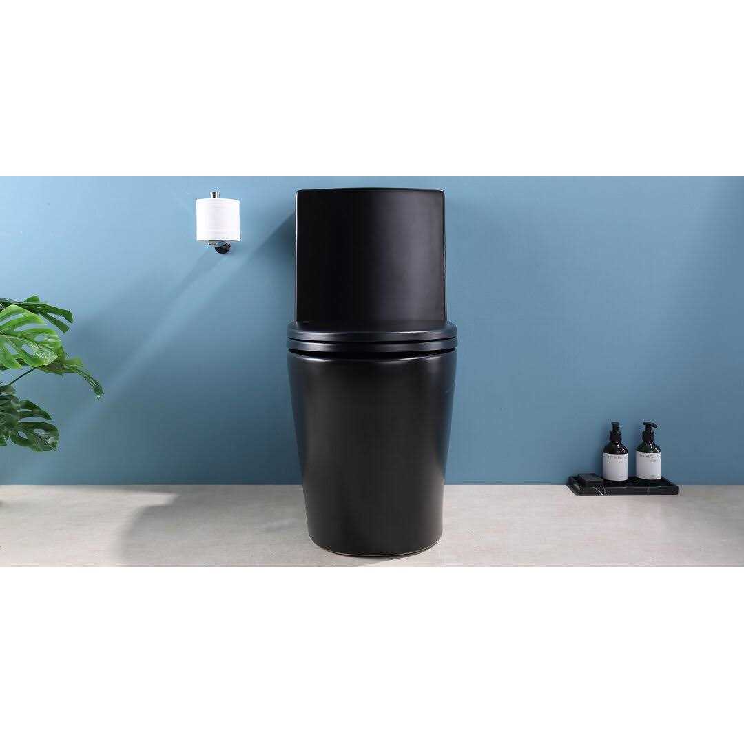 Stivier 12 in. Rough-in 1-Piece 1.1/1.6 GPF Dual Flush Elongated Toilet in Black. Seat Included 21S0901 - Cheap Fitting