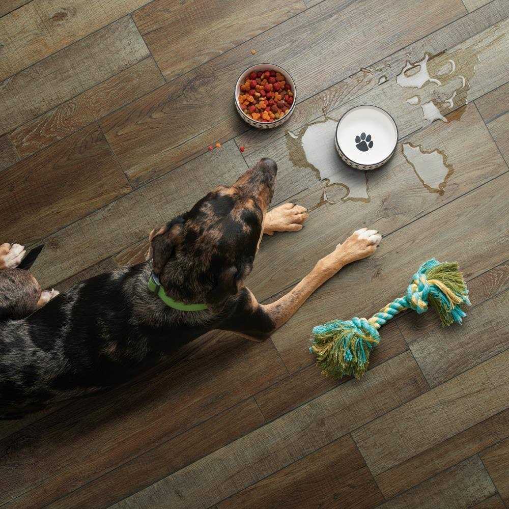 SmartCore By COREtec Floors Claremount Oak 20-mil x 7-in W x 48-in L Water Resistant Interlocking Luxury Vinyl Plank Flooring - Cheap Fitting