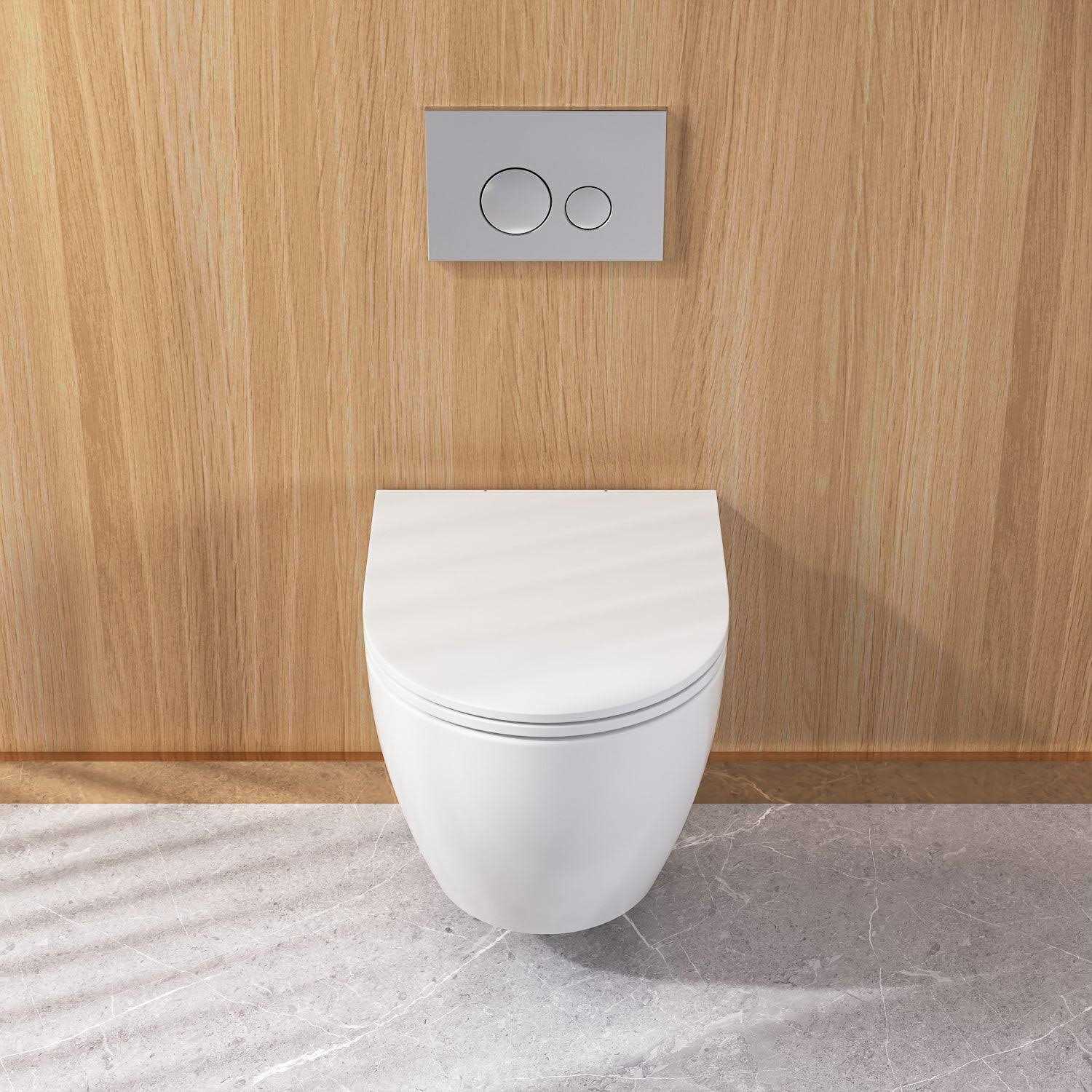 DeerValley Liberty 1-Piece 0.8/1.28 GPF Dual Flush Elongated Wall Hung Toilets - Cheap Fitting