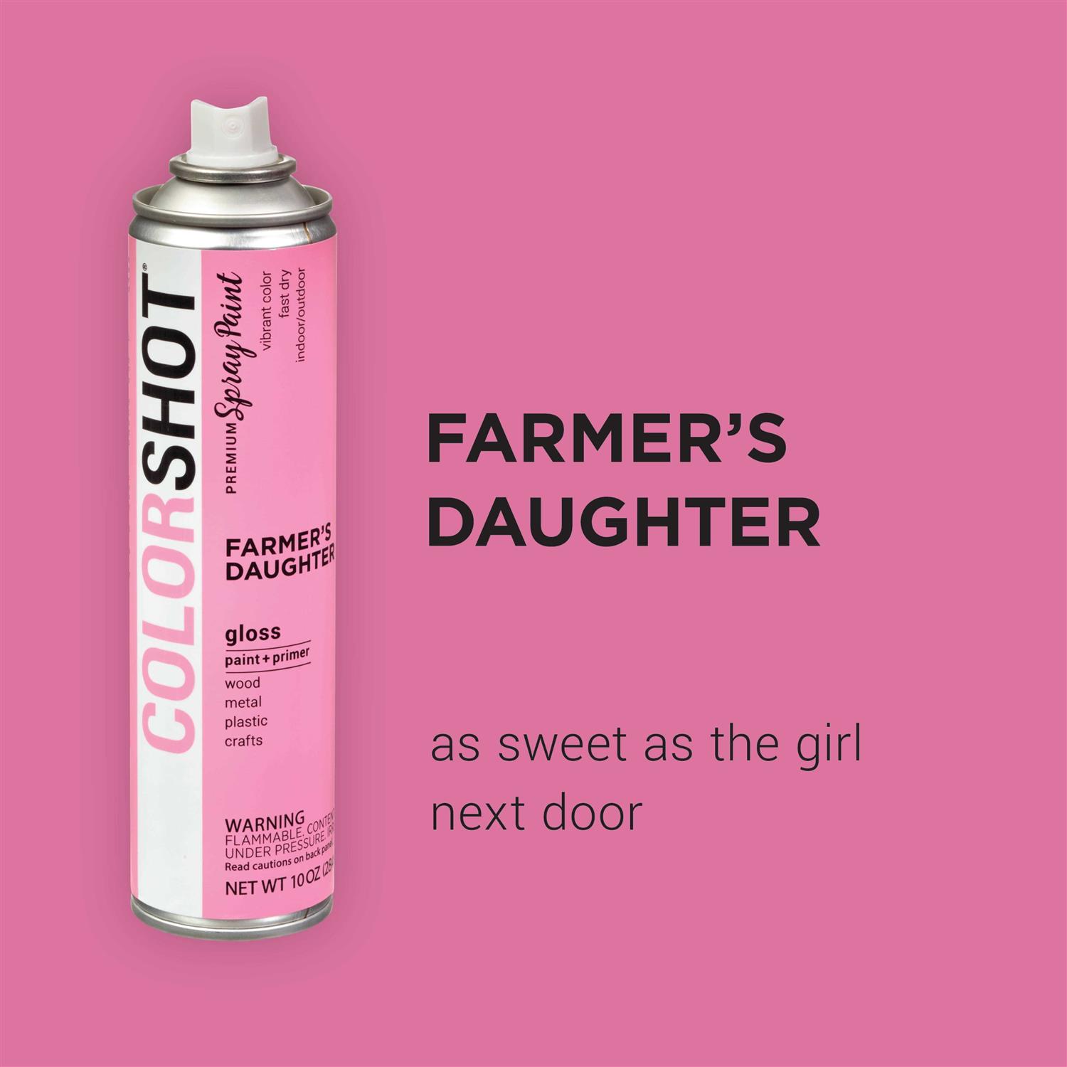 Colorshot Premium Gloss Spray Paint - Cheap Fitting