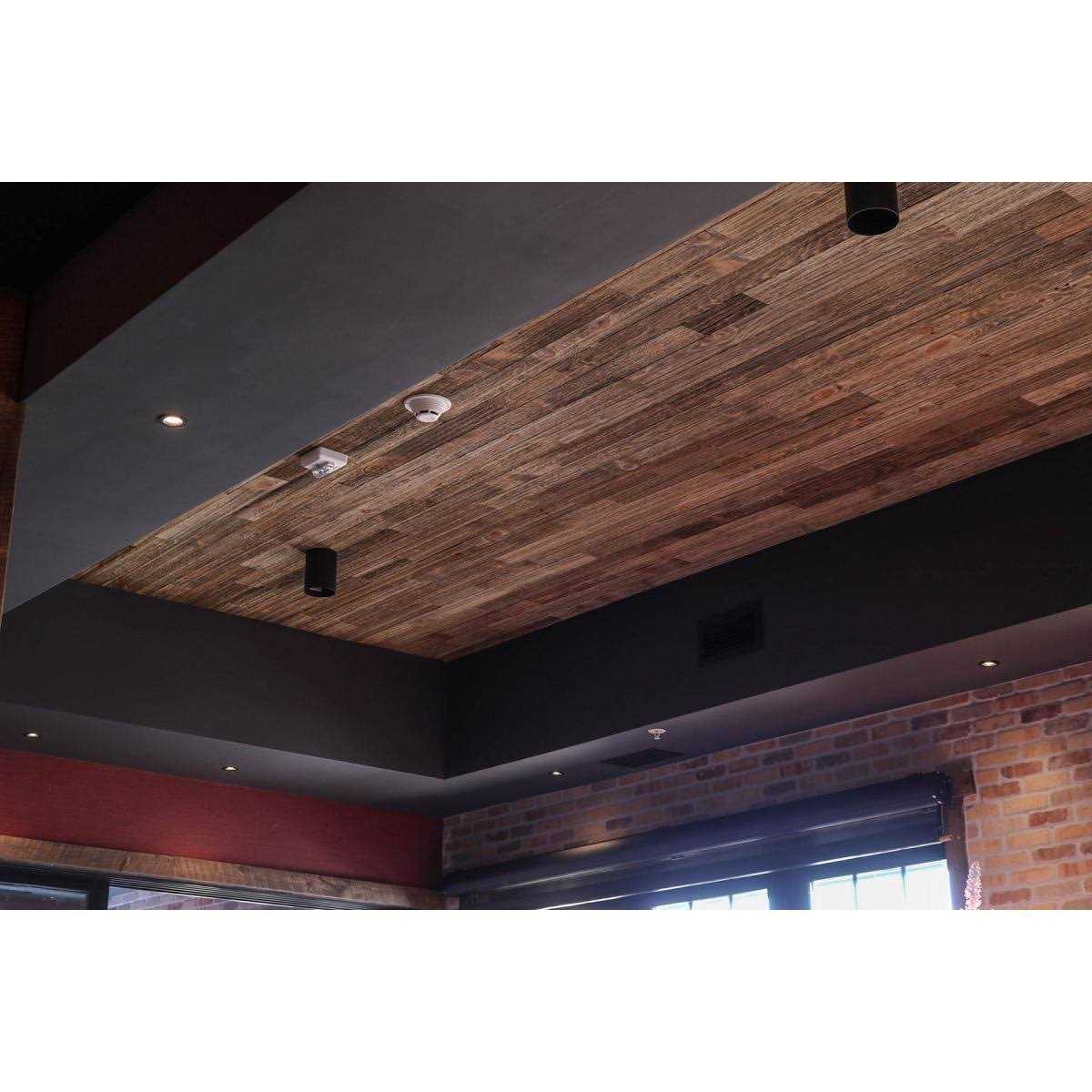 Ekena Millwork 1/4W x 96L Barntique Gaynes Reversible Ship Lap or Nickel Gap Barnwood Wall Coverings - Cheap Fitting