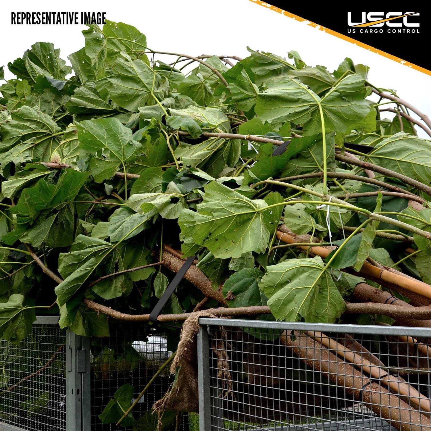 Us Cargo Control 1 x 10′ Black Stainless Steel Thumb Ratchet Strap w - Cheap Fitting