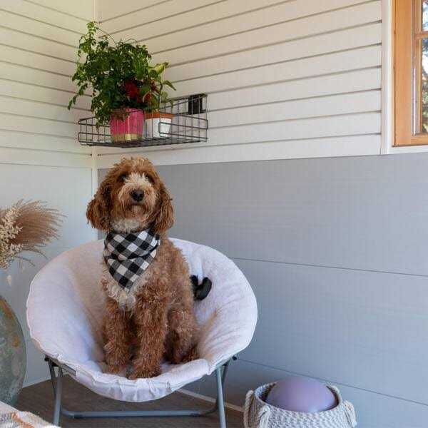 Trusscore 1/2 in. x 16 in. x 8 ft - Cheap Fitting