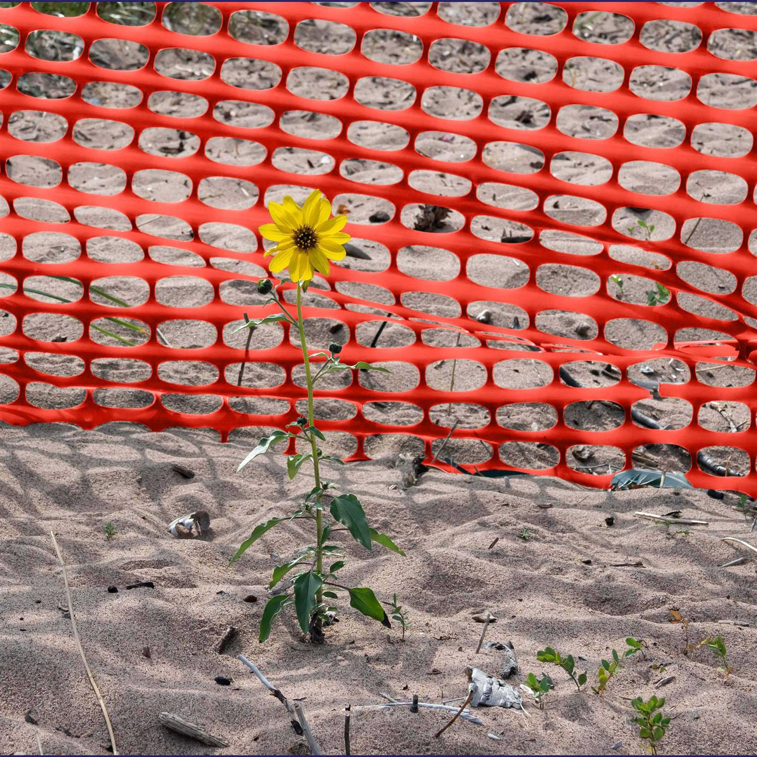 BISupply Temporary Fencing for Yard Green Outdoor Plastic Construction Fencing Roll for Dogs, Garden and Events - Cheap Fitting