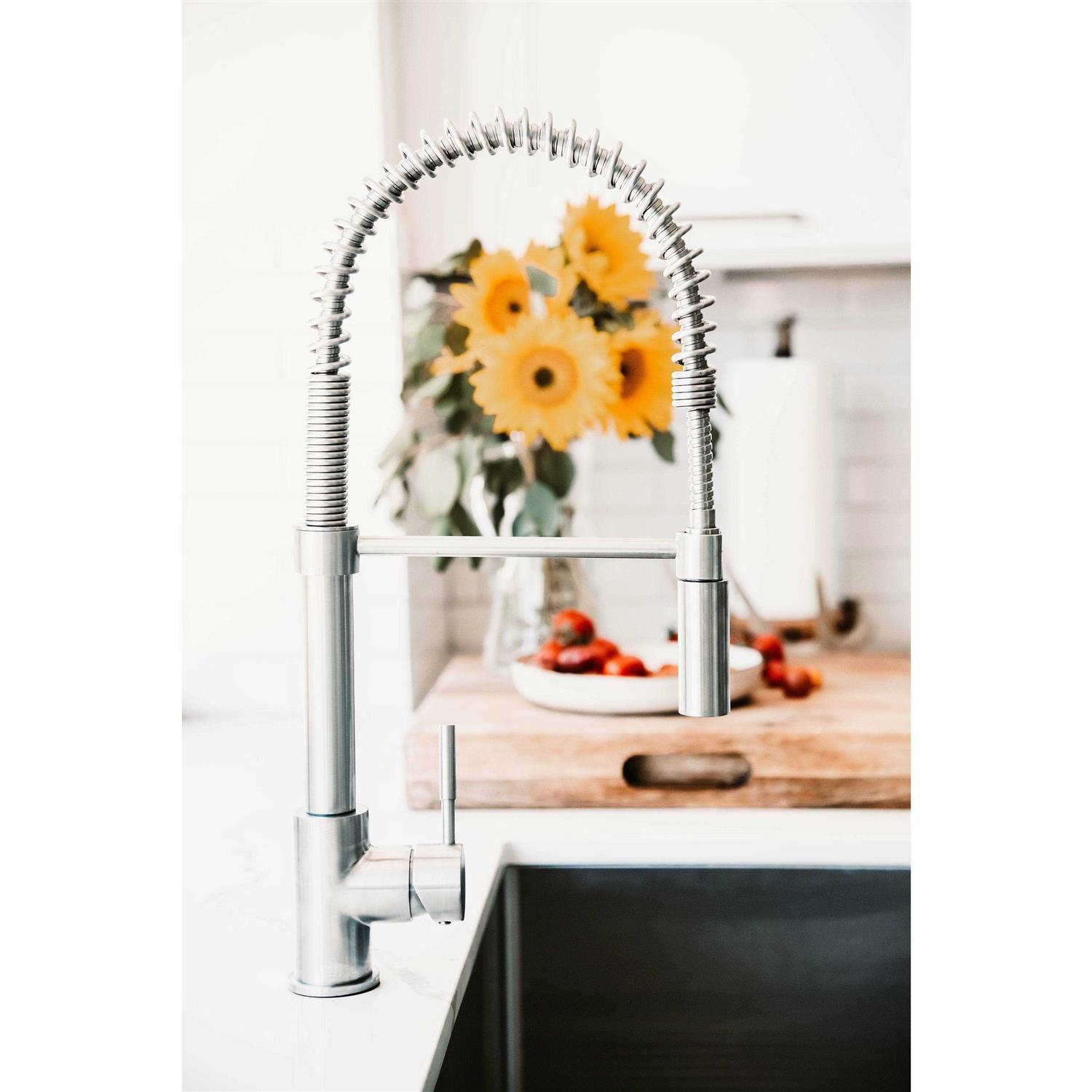 ZLINE Sierra Kitchen Faucet SRA-KF-PG - Cheap Fitting