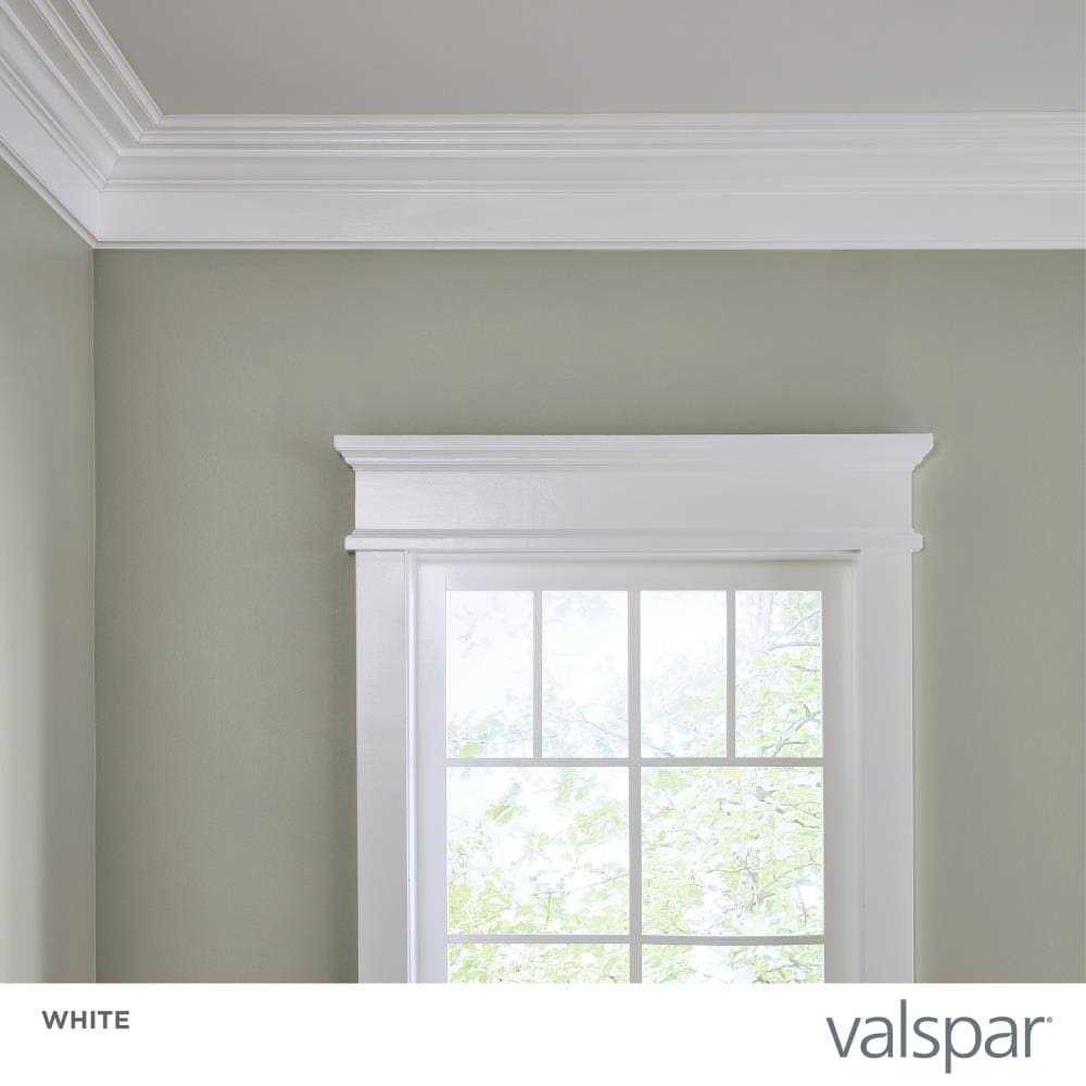 Valspar Interior Paint - Cheap Fitting