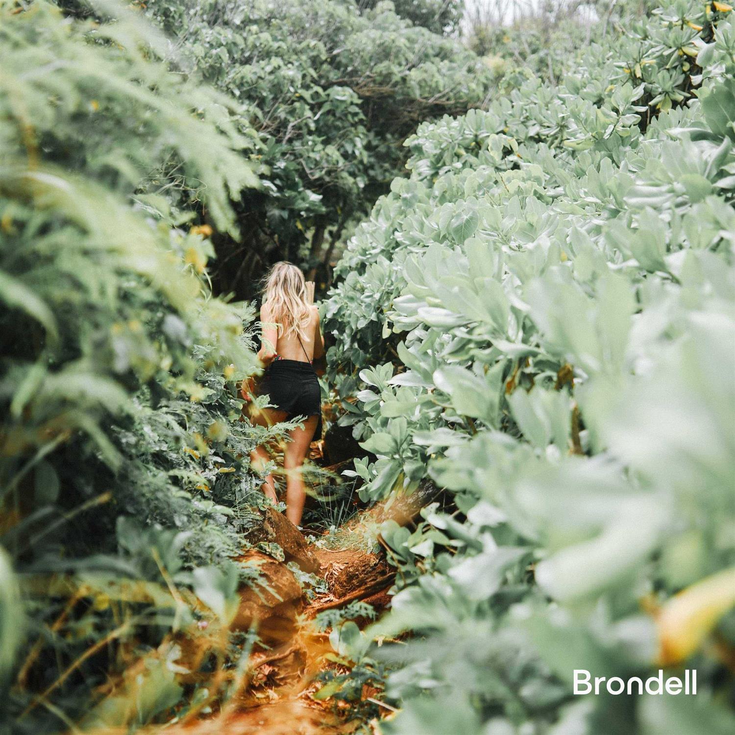 Brondell Swash Ecoseat Non-Electric Bidet Seat for Elongated Toilet - Cheap Fitting