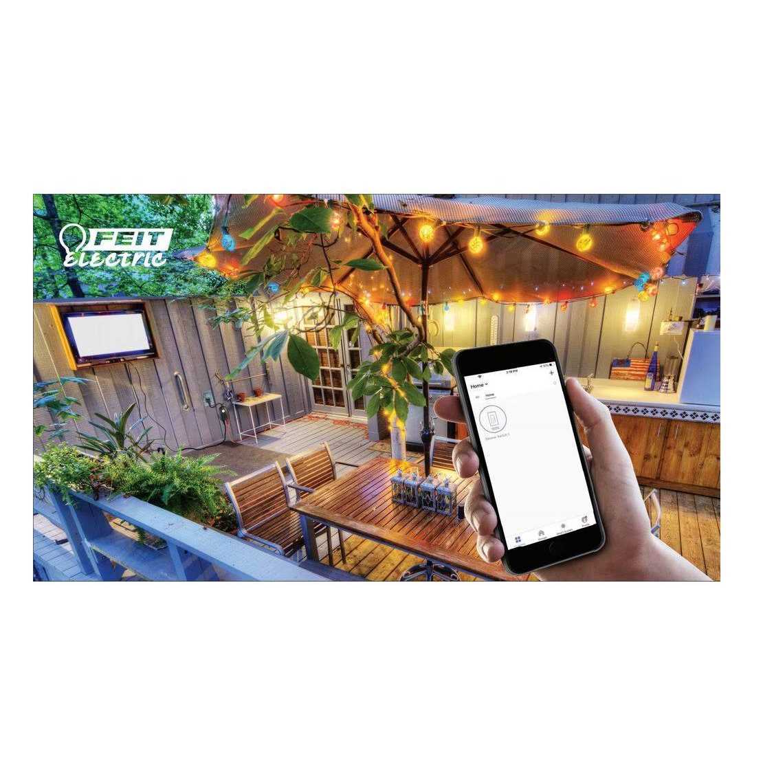 Feit Electric Plug/WiFi/WP Outlet - Cheap Fitting