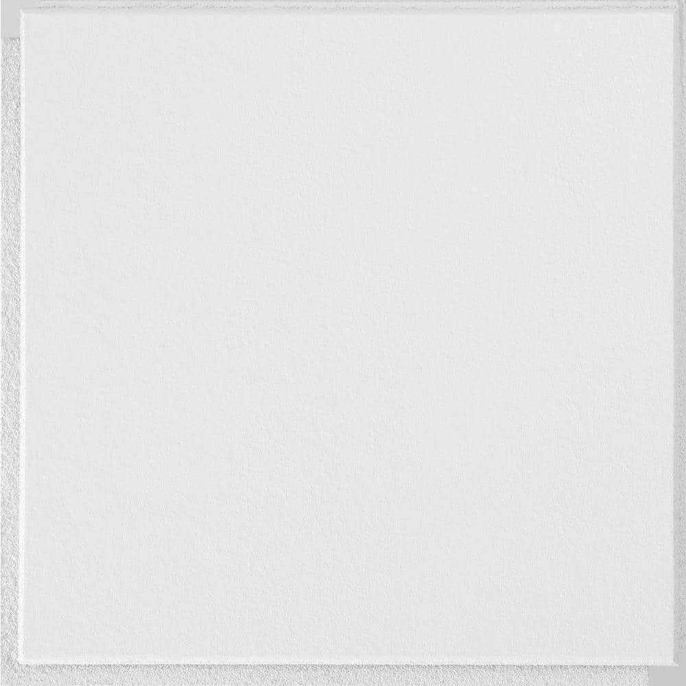 Armstrong Ceilings Washable White 1 ft. x 1 ft Clip Up or Glue Up Ceiling Tile - Cheap Fitting