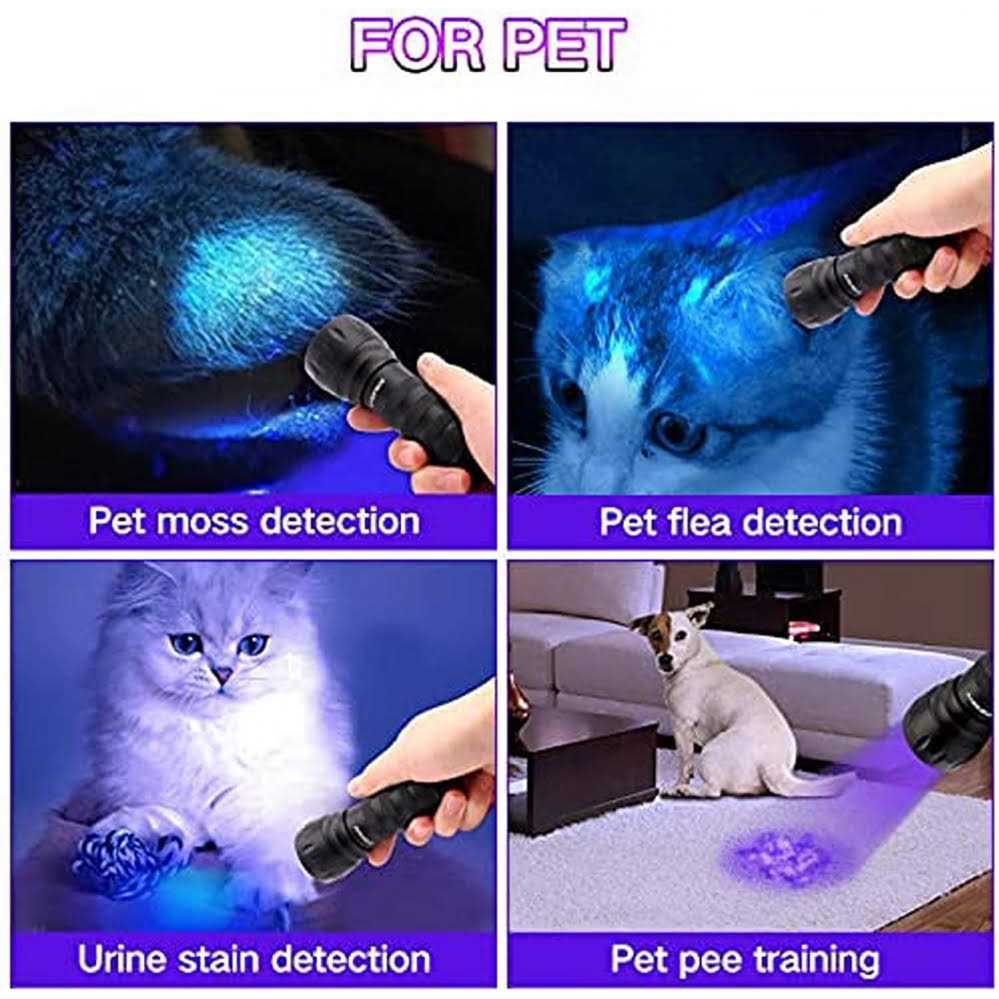 Black Light UV Light Flashlight 21 LED 395nm Ultraviolet Blacklight Flashlight Mini Pet Urine Detector for Dog/Cat - Cheap Fitting