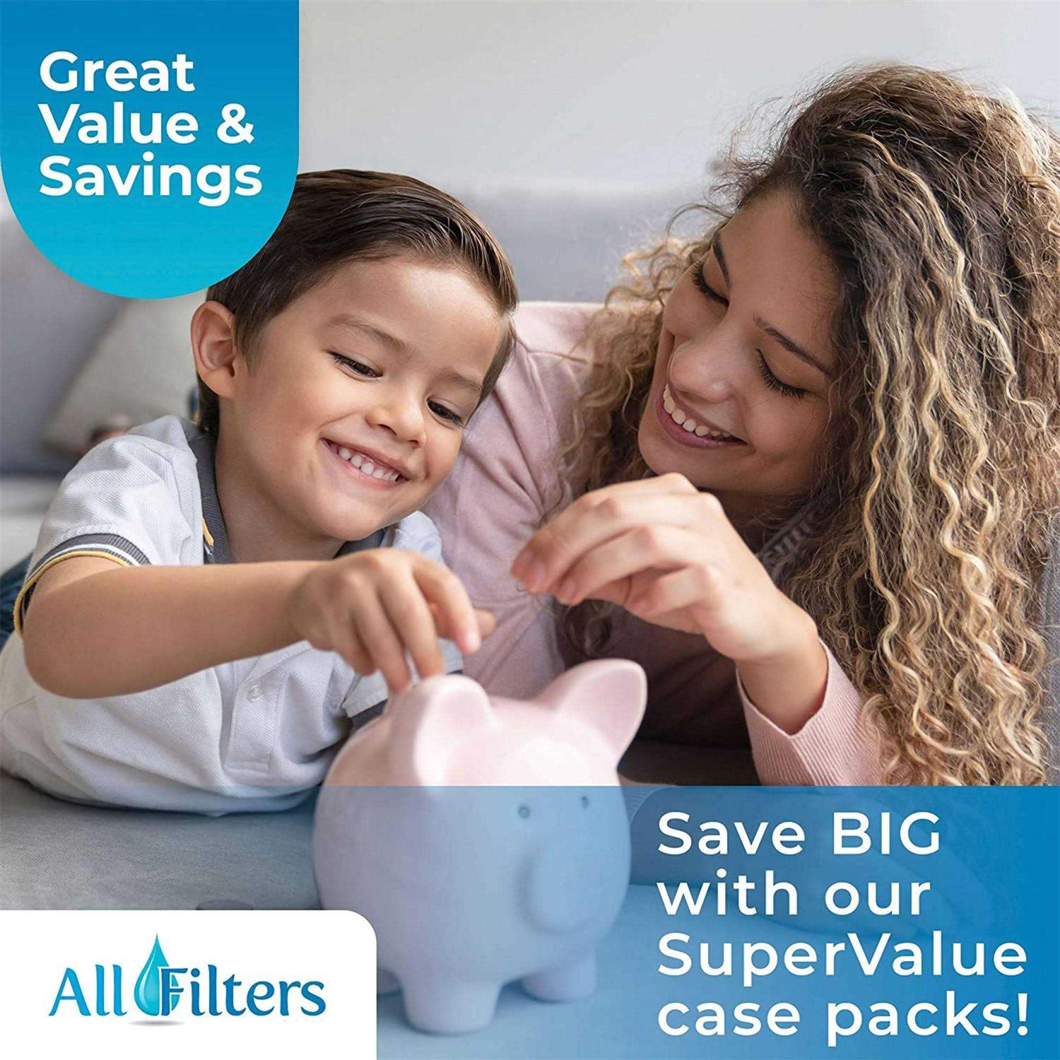 SpiroPure 10 x 2.5 Inch 20 Micron Pleated Cellulose Polyester Filter - Cheap Fitting