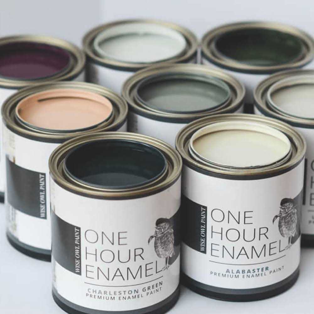 Wise Owl One Hour Enamel Paint - Cheap Fitting