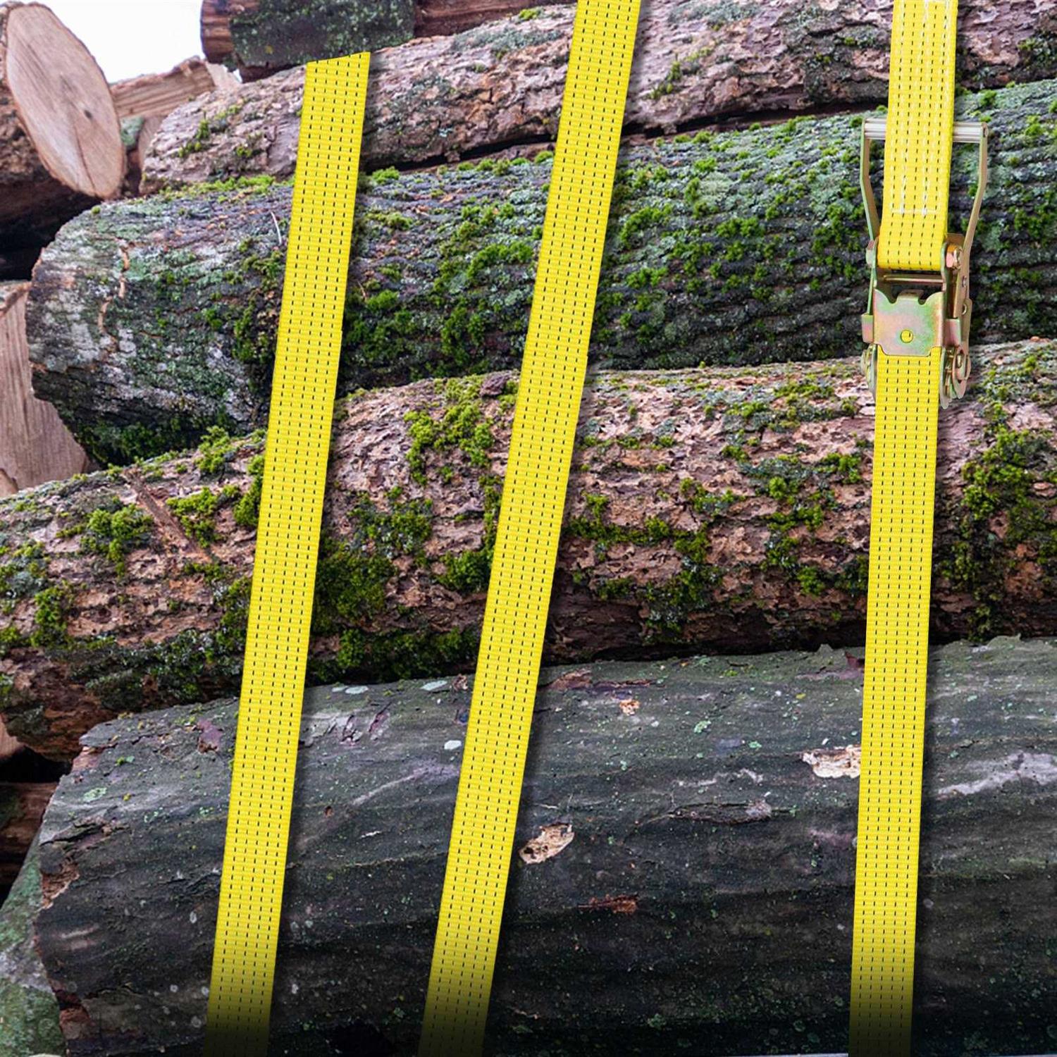 VEVOR Ratchet Tie Down Strap 2in Polyester Ratchet Strap 4000 lbs - Cheap Fitting