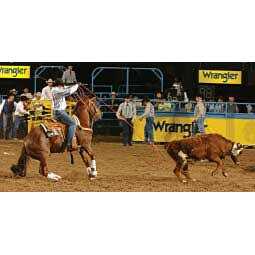 Classic Heat Rope - Cheap Fitting