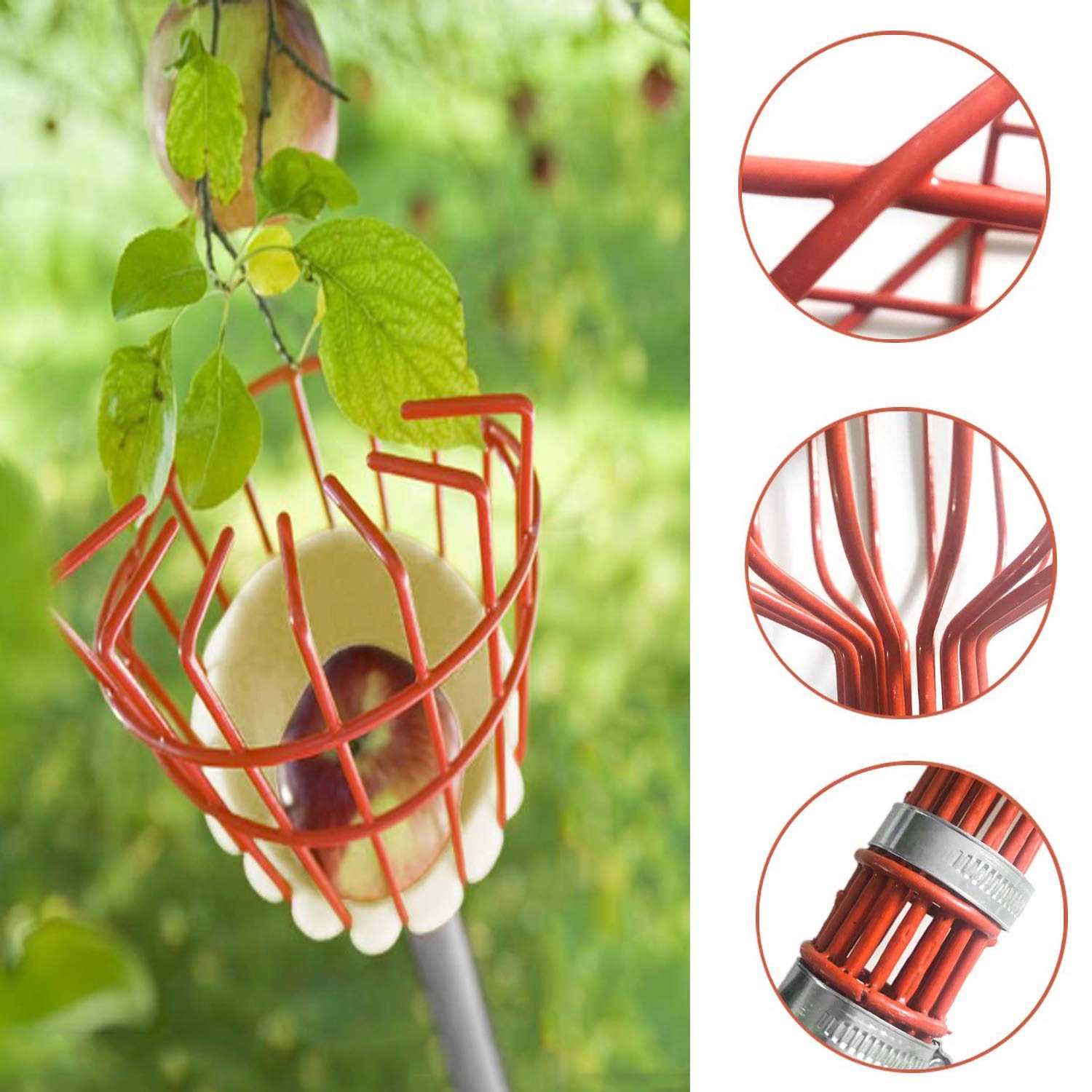 Coconut Fruit Picker Tool Fruit Picker Pole with Basket - Cheap Fitting
