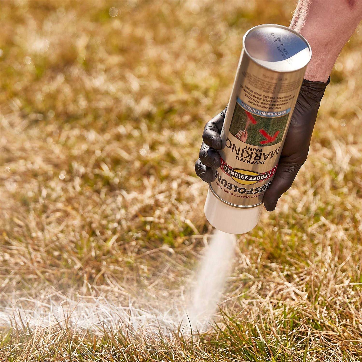 Rust-Oleum 15 oz Professional Inverted Marking Spray Paint - Cheap Fitting