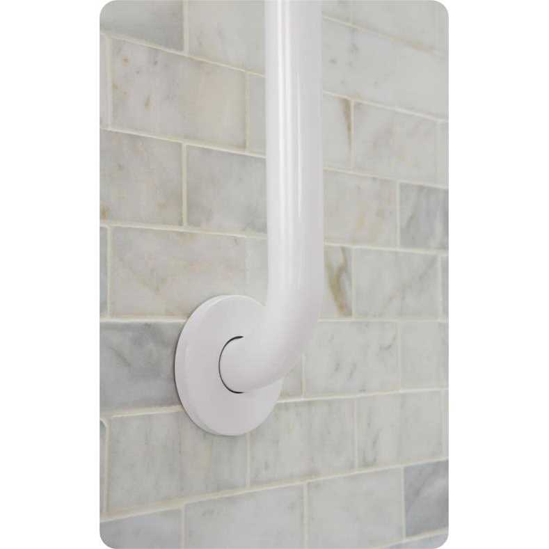 Moen R8724PS Home Care 24 Concealed Screw Grab Bar - Cheap Fitting