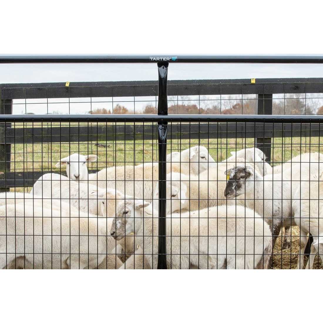 Tarter 12 ft. 2 x 4 Wire Filled Gate WFGBL12 - Cheap Fitting