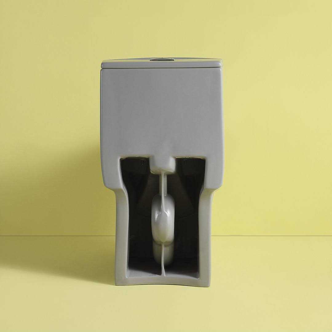 Abruzzo One-Piece Toilet 1.1 GPF/1.6 GPF Dual Flush Elongated Toilet with Soft Closing Seat AB-23T02-LG - Cheap Fitting