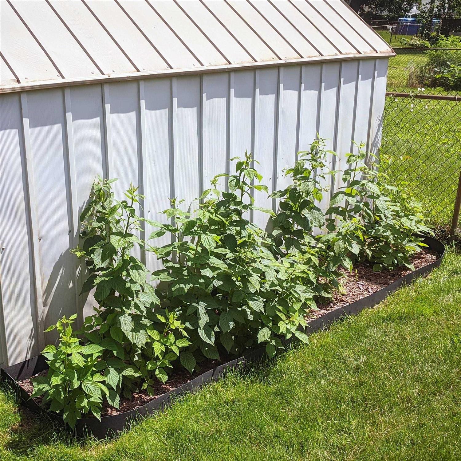 Grass Barrier 10 - Cheap Fitting