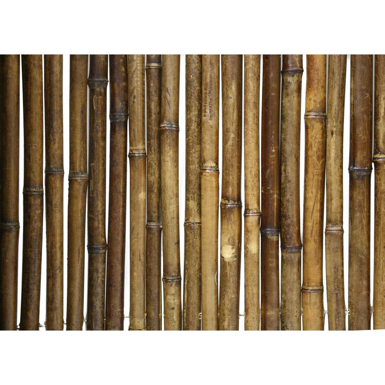 Backyard x-Scapes H x 8 ft. W Caramel Brown Bamboo Fence Fencing Panel - Cheap Fitting