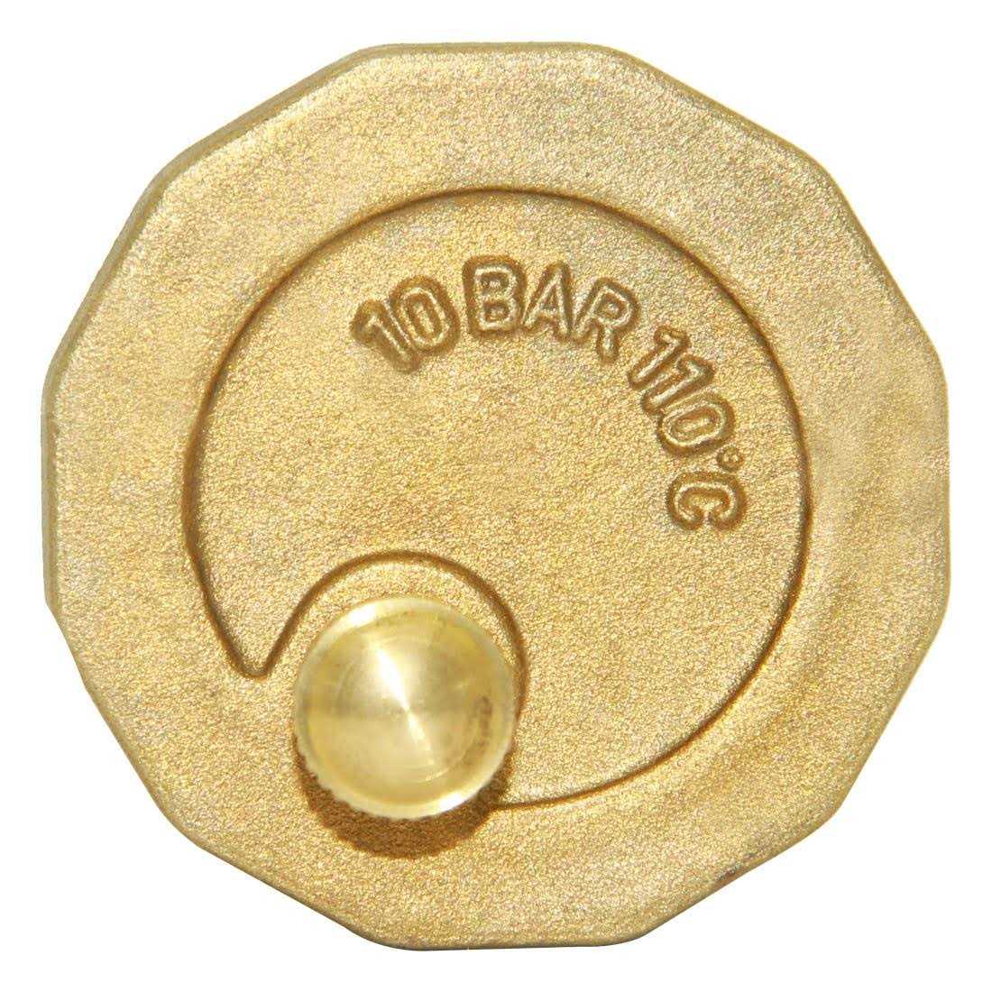Beduan Brass 10500-VE Automatic Float Valve Male Thread Air Release Valve Air Bleeder Valve Vent Valve - Cheap Fitting