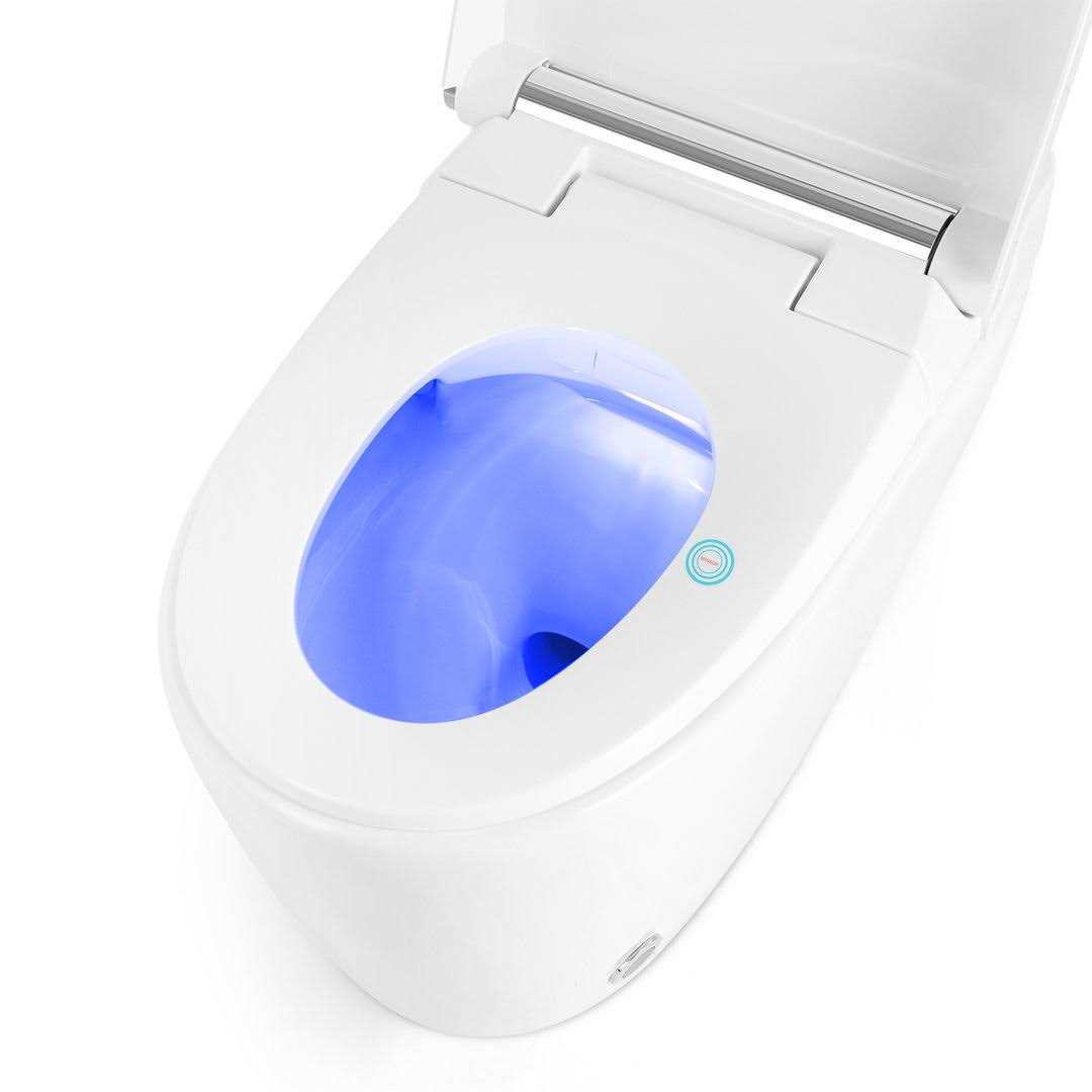 cosvalve C1040802500 1.28 GPF Elongated One-Piece Toilet - Cheap Fitting