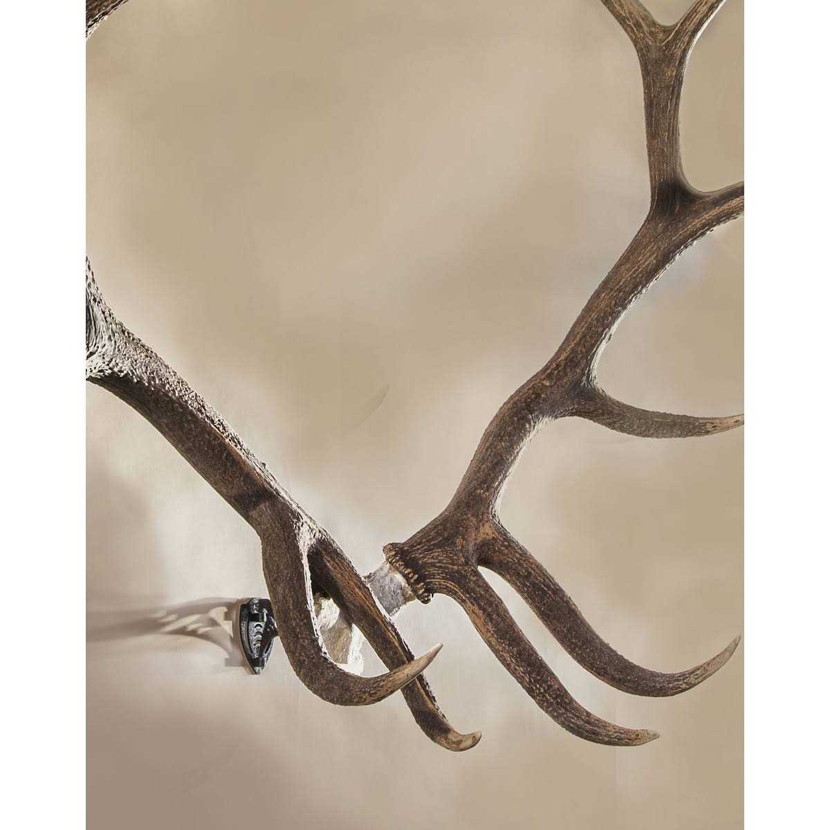 Skull Hooker Bone Bracket XXL - Cheap Fitting