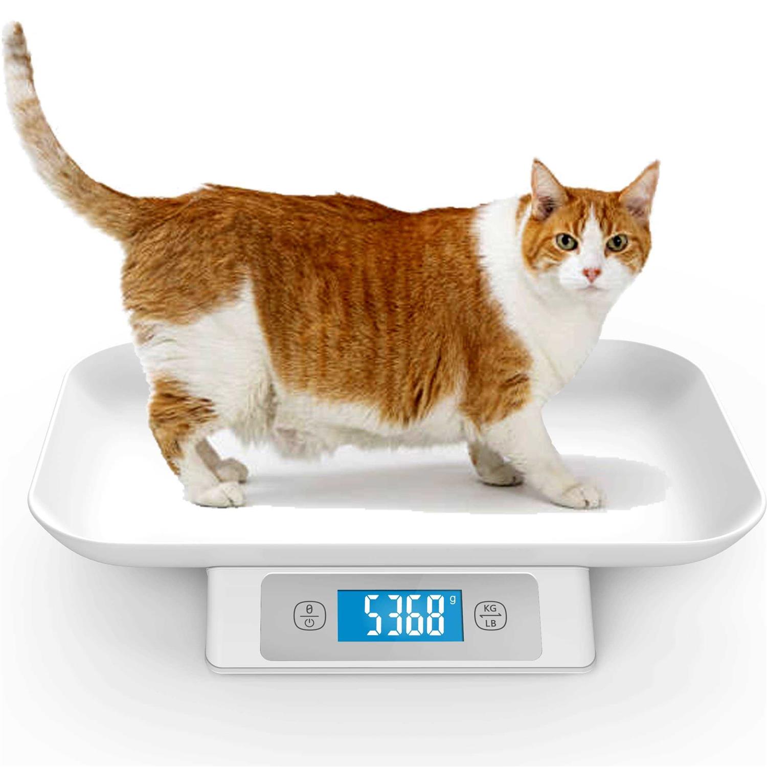 ICARE-PET Digital Pet Scale For Puppy And Cats Puppy Whelping Supplies Scale Weigh Capacity 33 lbs - Cheap Fitting