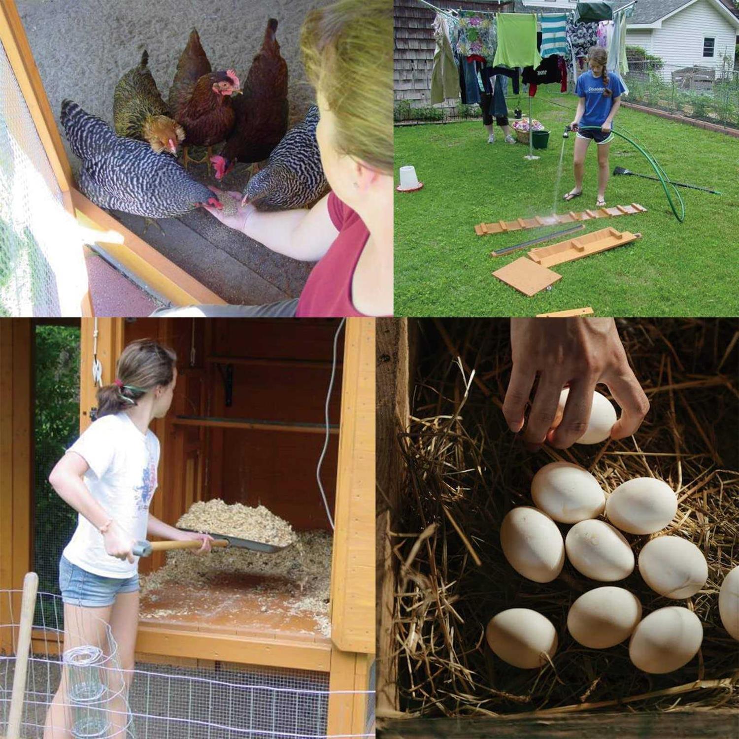 LAN JIA Hardware Cloth 1/4 Mesh 23 Gauge-Hot Dip Galvanized After Welding-Chicken Wire Wire Mesh Roll - Cheap Fitting