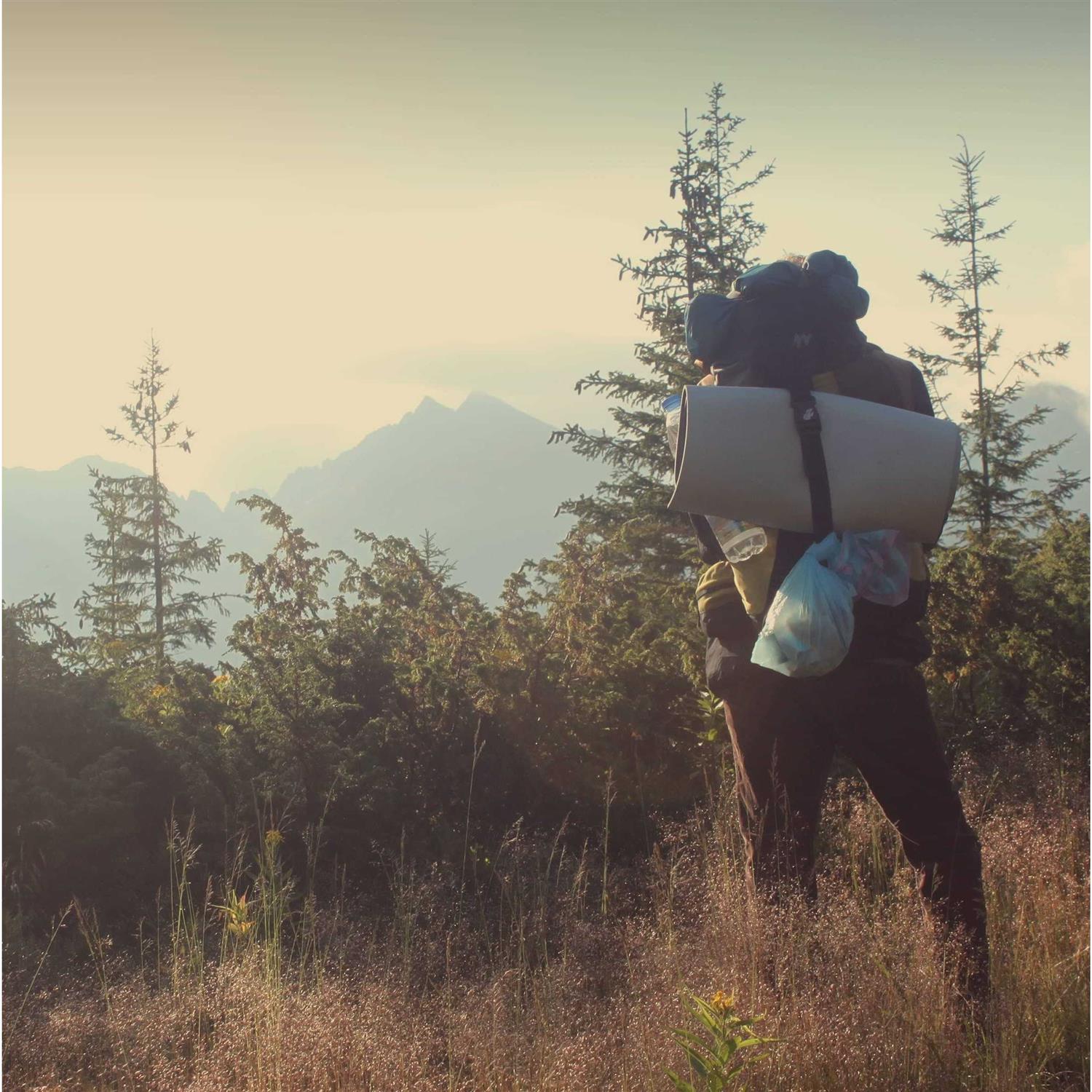 Harrier 72-Inch Utility Strap with Quick-Release Buckle - Cheap Fitting