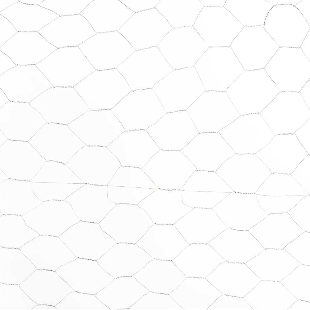 Fencer Wire 20 Gauge Galvanized Poultry Hex Netting with 2 inch Mesh - Cheap Fitting
