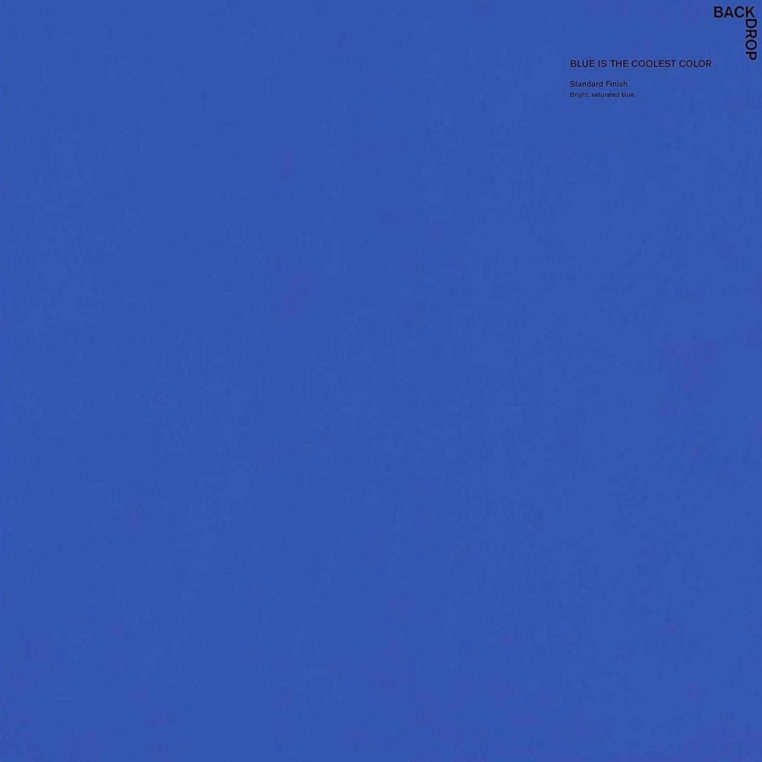 BACKDROP Large Adhesive Paint Swatch - Cheap Fitting