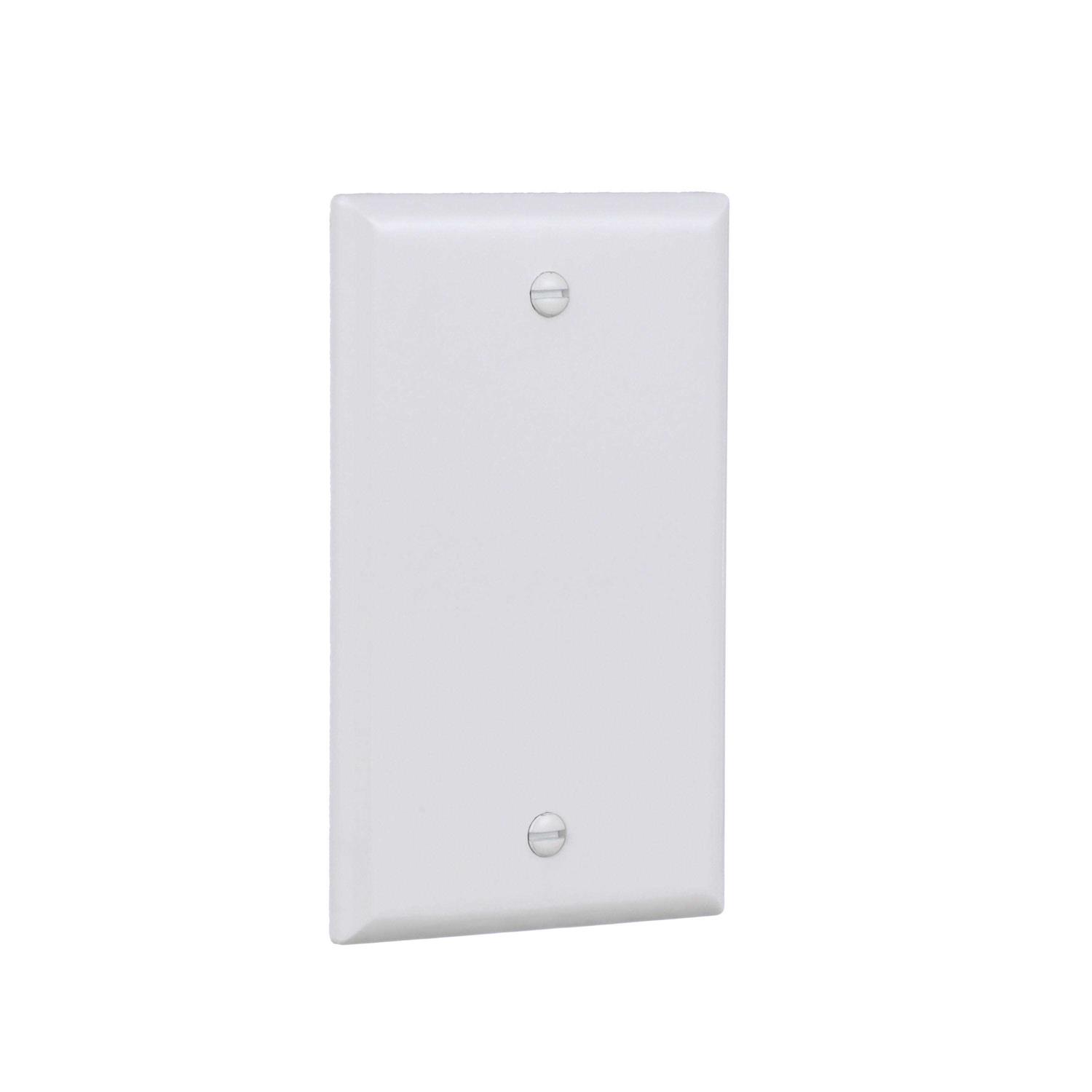 Eaton 1-Gang Blank Standard Wall Plate - Cheap Fitting