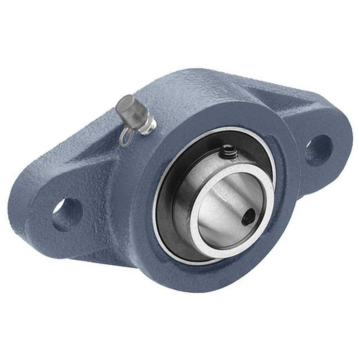 Tritan UCFL205-16 2 Bolt Flange Bearing - Cheap Fitting