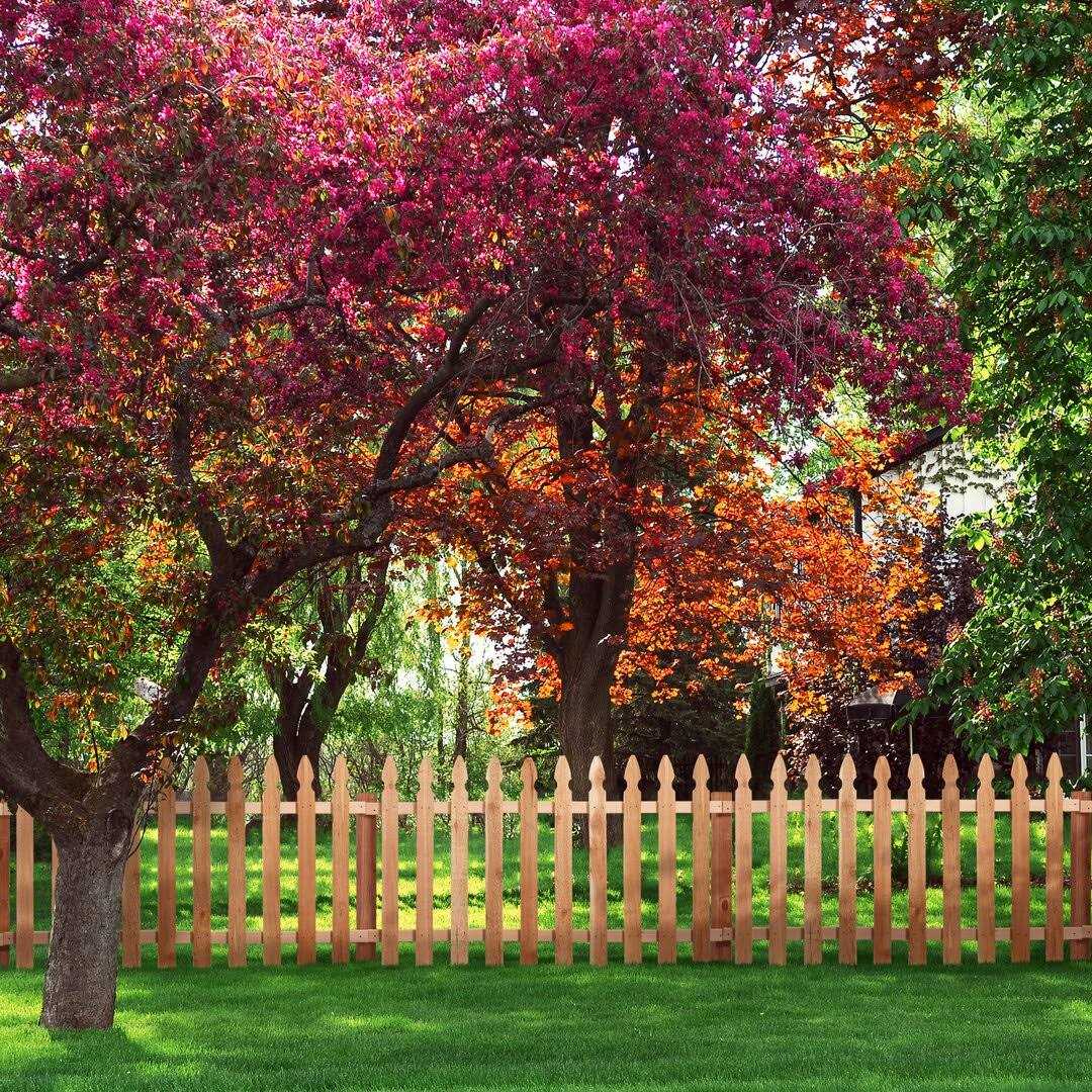 Outdoor Essentials 5/8 in. x 3-1/2 in. x 3-1/2 ft. Western Red Cedar French Gothic Fence Picket - Cheap Fitting