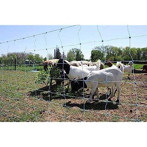 Starkline 42in x 164ft Multi-Purpose Electric Netting for Goats, Sheep and More - Cheap Fitting