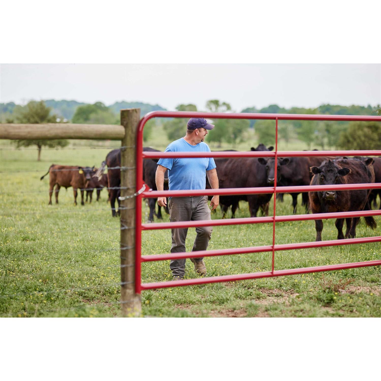 Tarter 6 Bar Tube Gate 6ER - Cheap Fitting