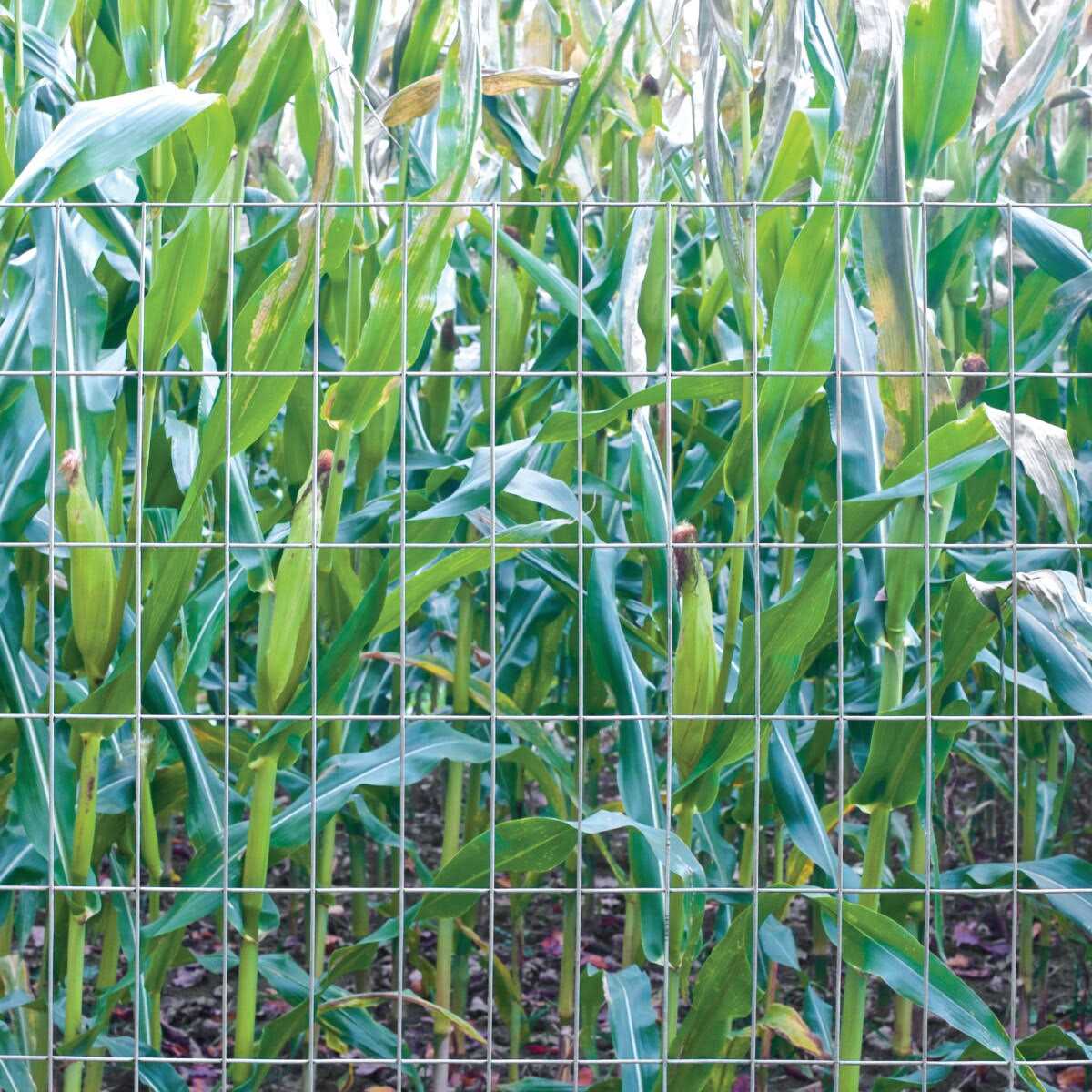 Garden Zone 14 Gauge Welded Utility Fence - Cheap Fitting