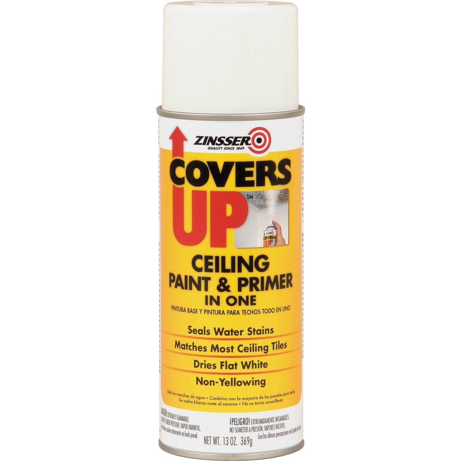 Zinsser Covers Up Ceiling Paint/Primer In One - Cheap Fitting