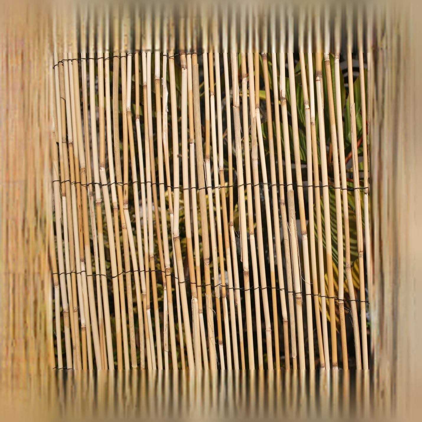 Backyard X-Scapes H X Natural Reed Fence - Cheap Fitting