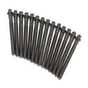 One New Victor Reinz Engine Cylinder Head Bolt Set 14-32101-01 - Cheap Fitting