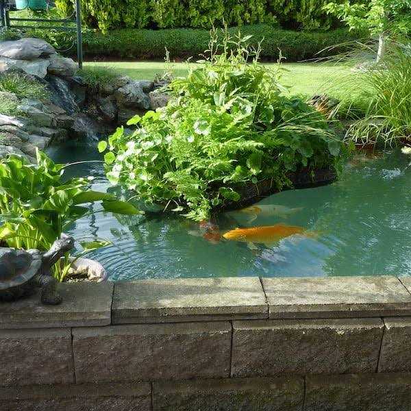 Pond Armor Non Toxic Pond Shield Epoxy Paint - Cheap Fitting