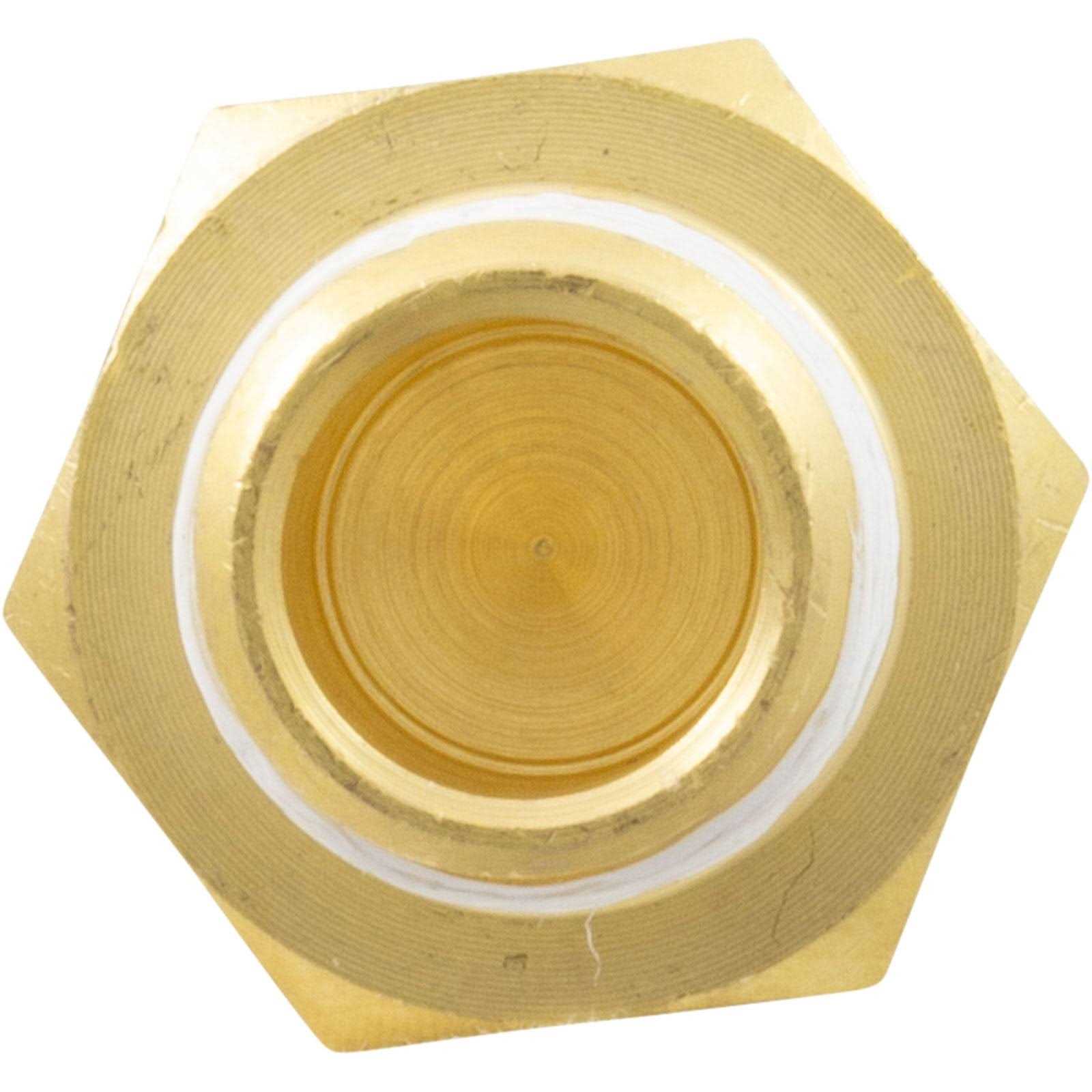 Pentair 42001-0063S High Limit Switch - Cheap Fitting